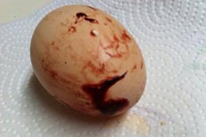 Почему в курином яйце кровь – можно ли его есть