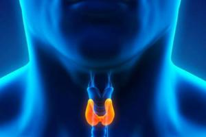 Признаки увеличения щитовидной железы, симптомы и лечение